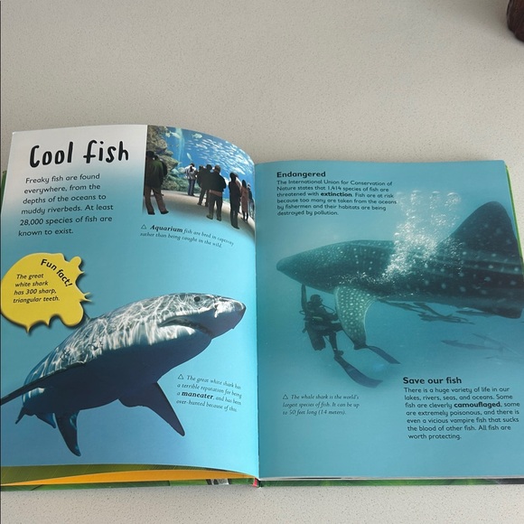 Wild Animals Book with Colorful Cover - Picture 5 of 5